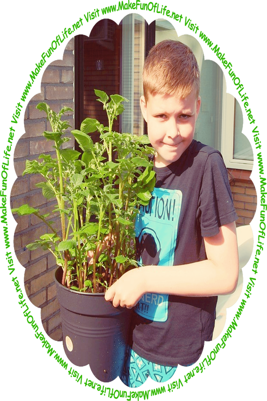 Picture of a happy smiling boy carrying a large potted potato plant with dark green leaves, and the words, ‘Visit www.MakeFunOfLife.net.’