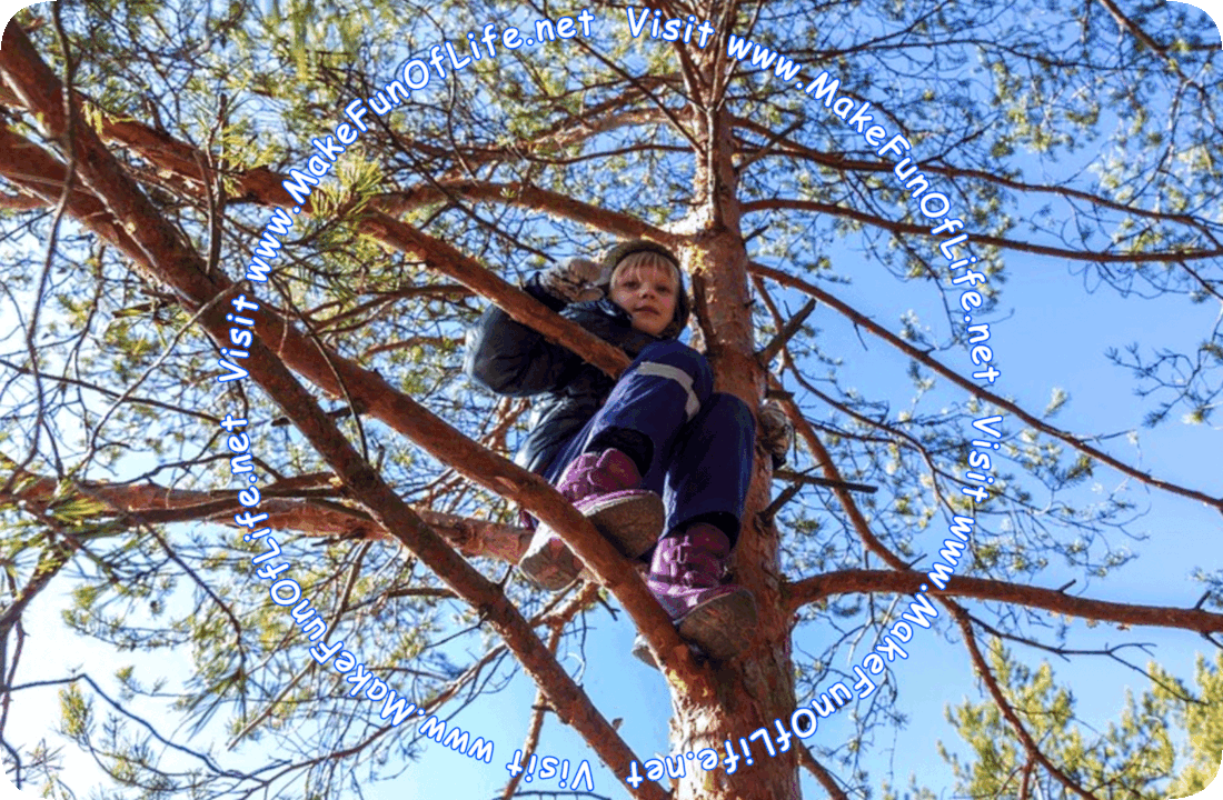 Picture of a child sitting on the branches in a tree.