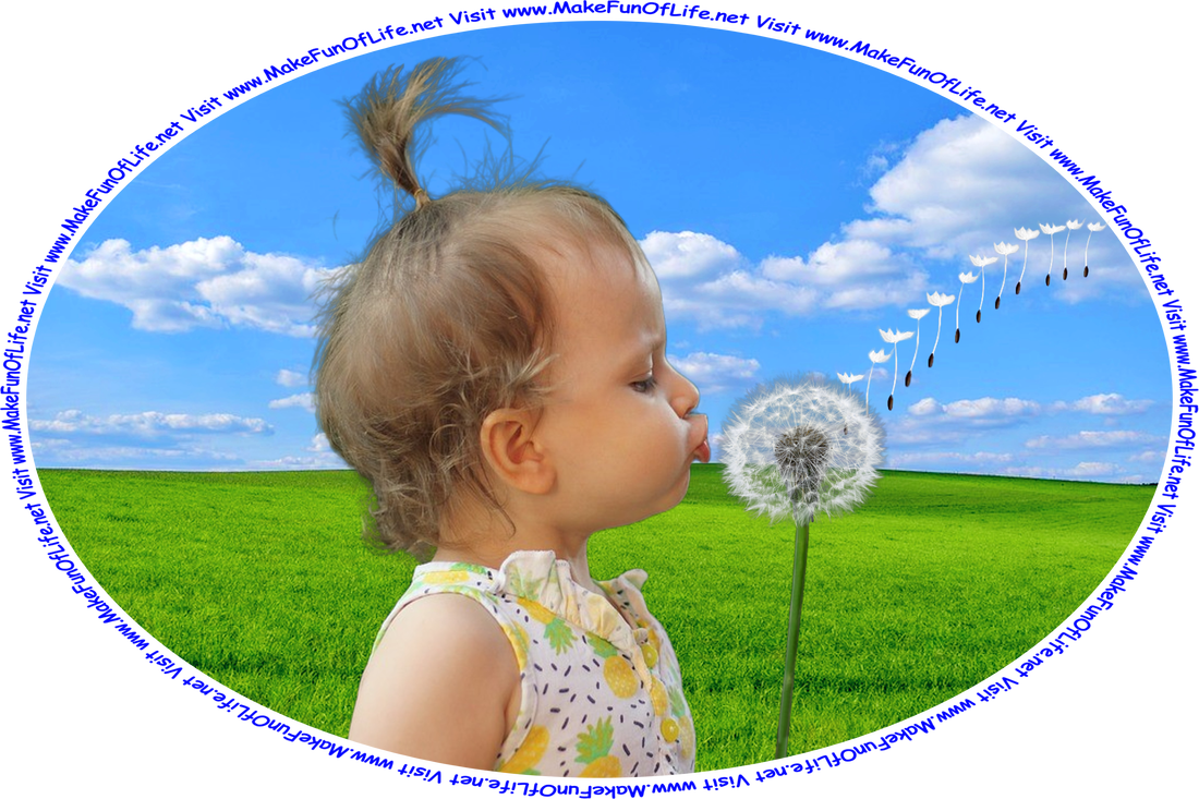 Picture of a child holding what was once a yellow dandelion flower, which has gone to seed and turned into white fluffy tufts, and blowing on it while making a wish, and the words, ‘Visit www.MakeFunOfLife.net.’