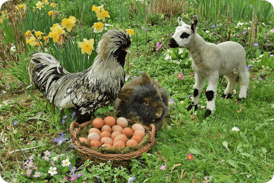 Picture of a chicken, a rabbit, and a goat gathered around a basket of eggs outdoors among green grass and flowering plants.