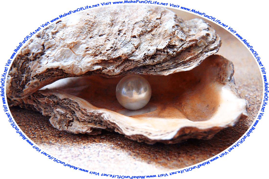 Picture of an oyster shell with a pearl inside it, and the words, ‘Visit www.MakeFunOfLife.net.’