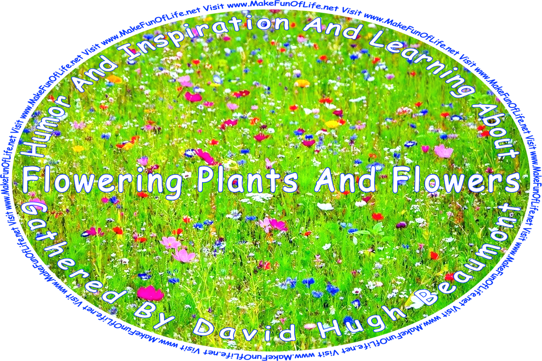 Picture of a field of flowering plants in an assortment of bright colors, and the words ‘“Humor And Inspiration And Learning About Flowering Plants And Flowers” Gathered By David Hugh Beaumont - Visit www.Makefunoflife.Net.’